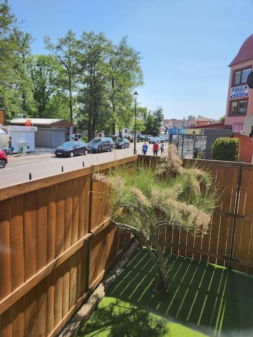 Baltic Garden Suite Дзівнув Екстер'єр фото